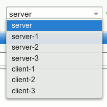 Multi Server Selection